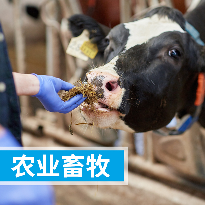 原子吸收分光光度計(jì)測(cè)定飼料中鎳元素